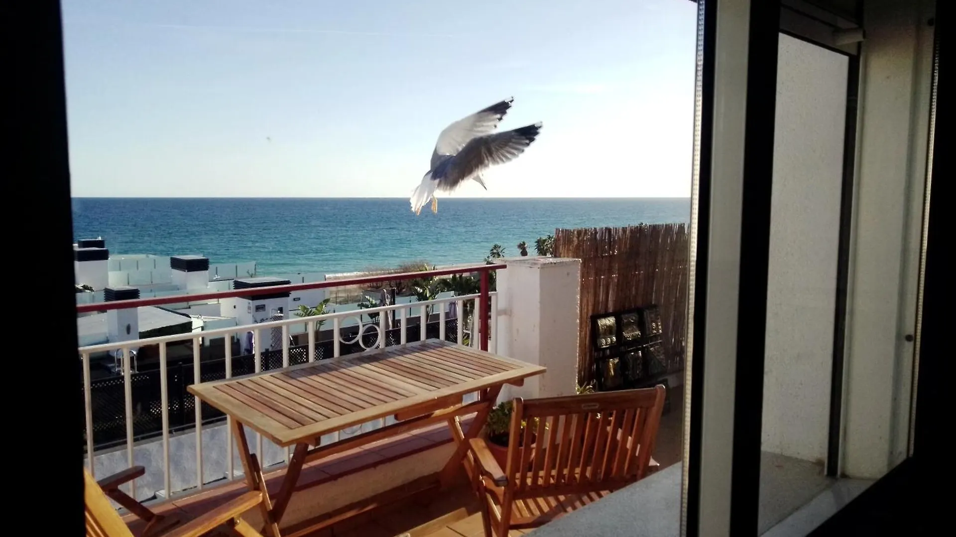 Appartement Terraza Al Mar à Pineda de Mar